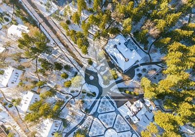 Грибово
