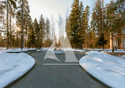 Грибово