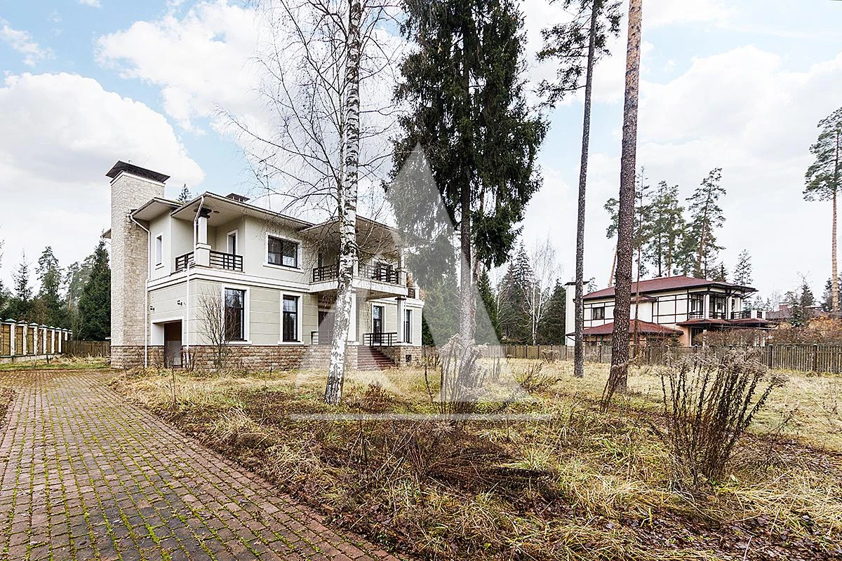 Корабельные сосны