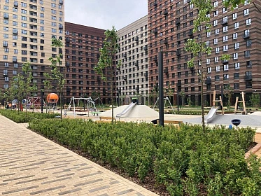 Черняховского 19